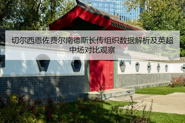 切尔西恩佐费尔南德斯长传组织数据解析及英超中场对比观察